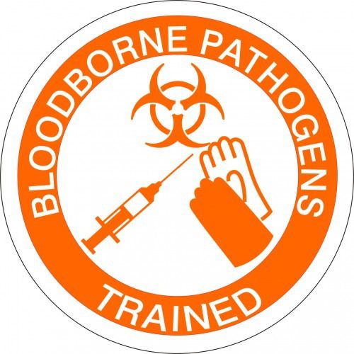 Bloodborne Pathogens Training for Tattoo Artists Skinart Tattoo